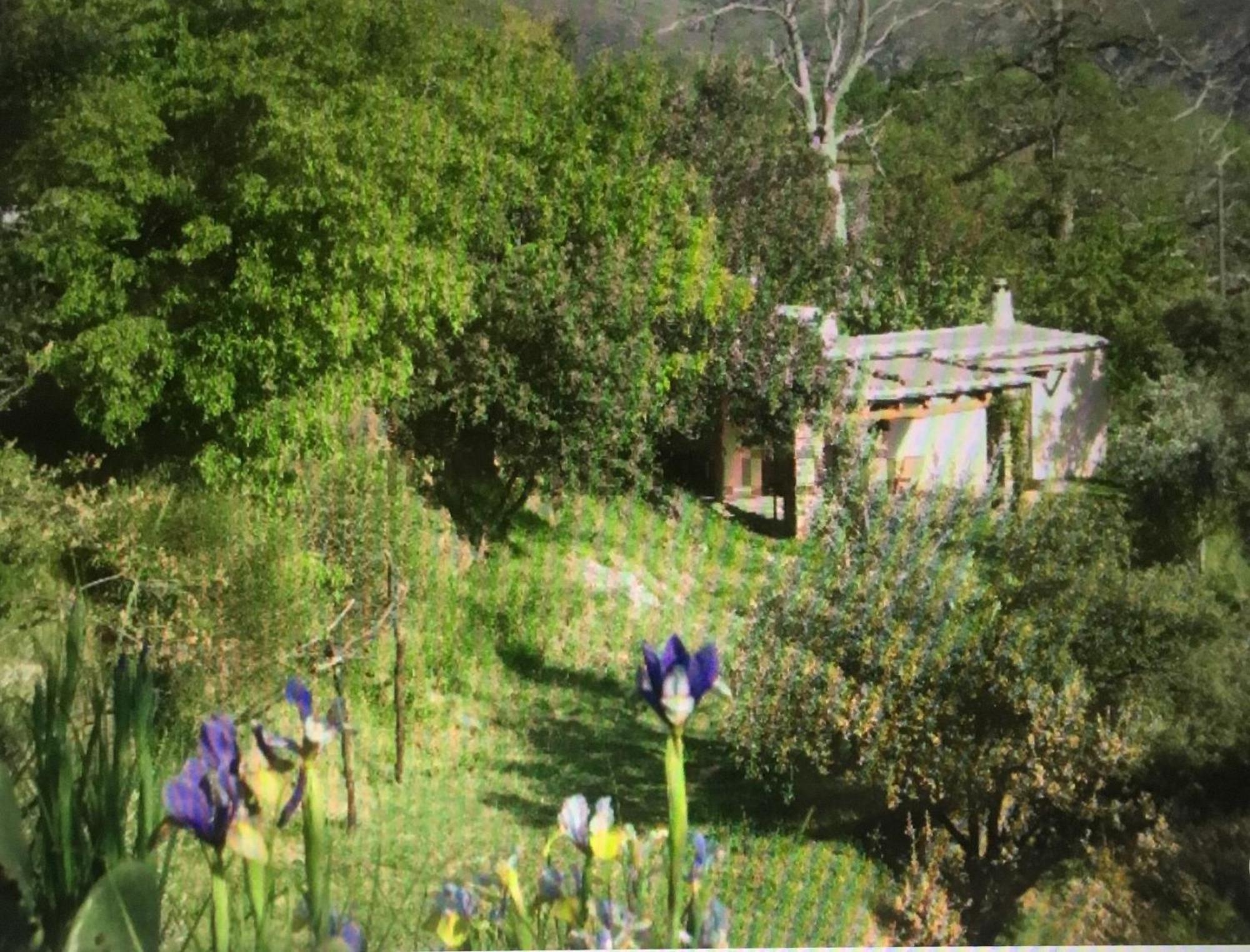Villa Cortijo La Viñuela Atalbeitar Exterior foto